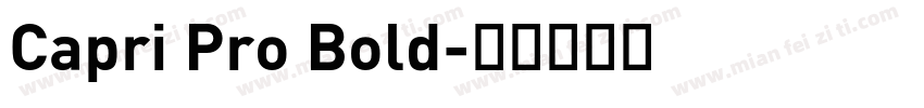 Capri Pro Bold字体转换